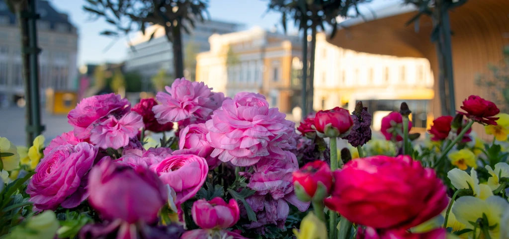 Ett foto av Åbo Svenska Teaters fasad. I förgrunden syns vackra blommor.